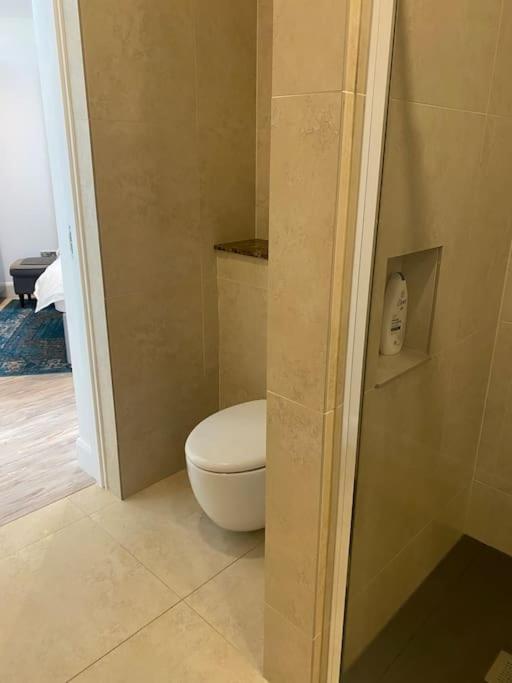 Beautiful Garden Apartment With Private Patio And Garden View Dublin Buitenkant foto